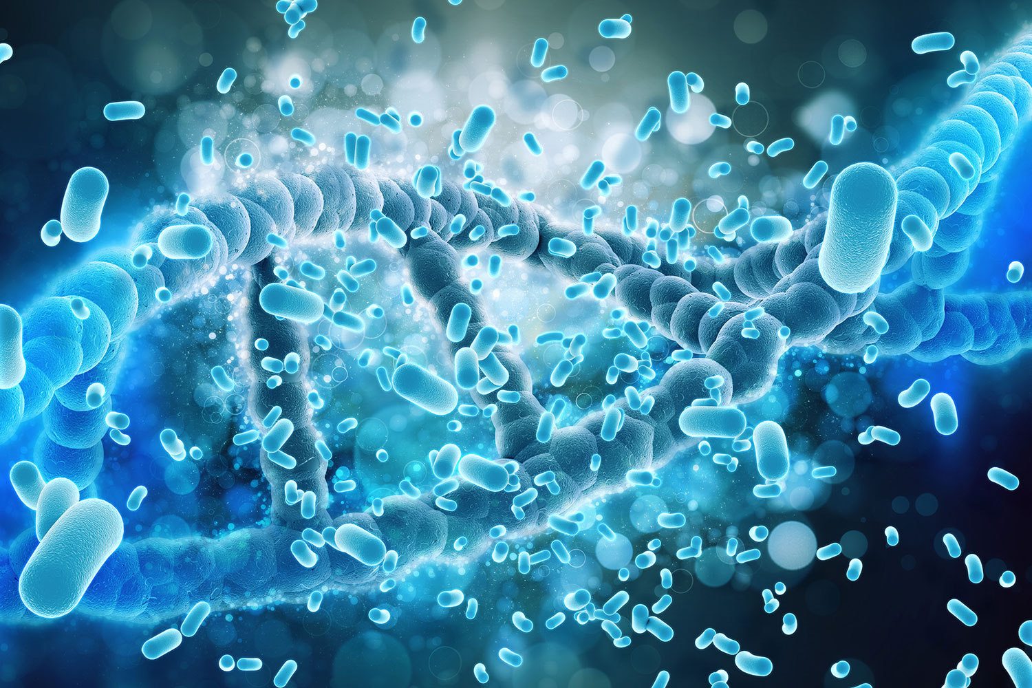 Estas son las bacterias que ayudan o detienen el cáncer