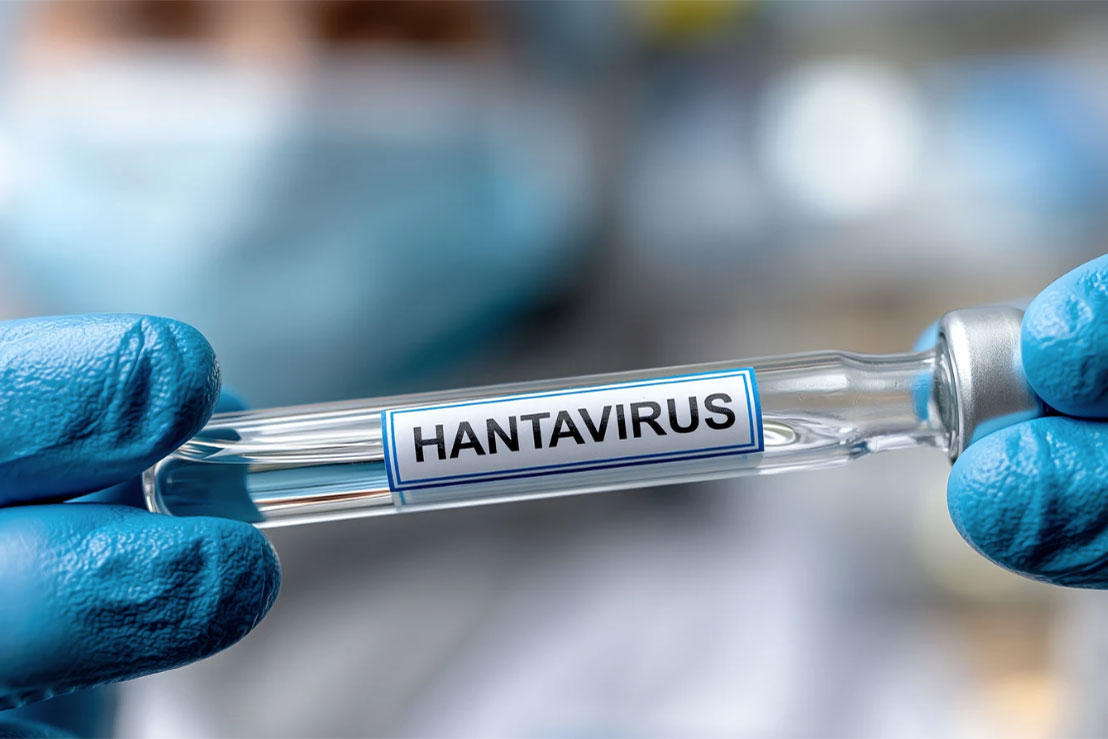Descubren el punto débil del hantavirus de los Andes que puede ayudar a combatirlo
