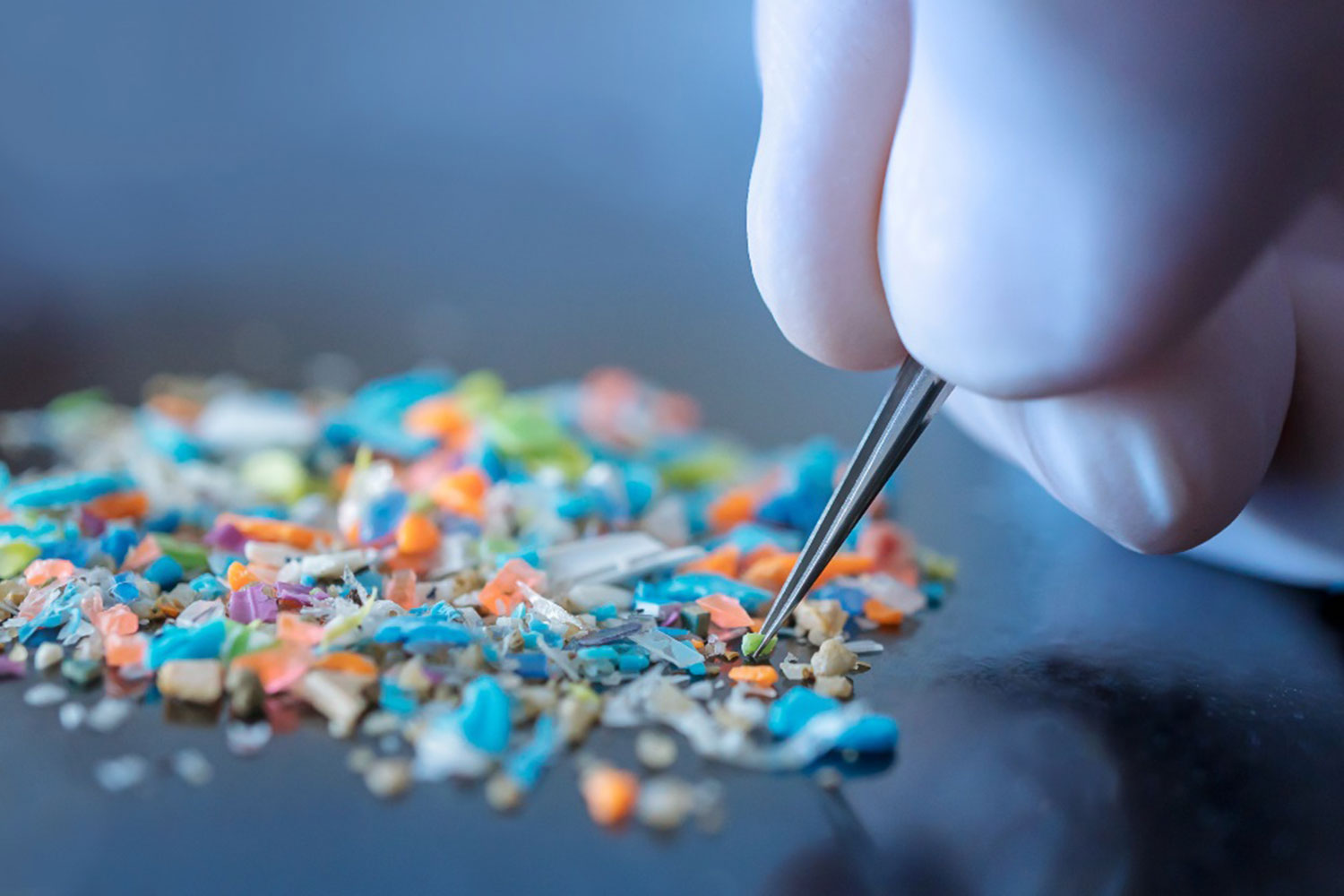 Los microplásticos se acumulan en más de la mitad de las arterias obstruidas