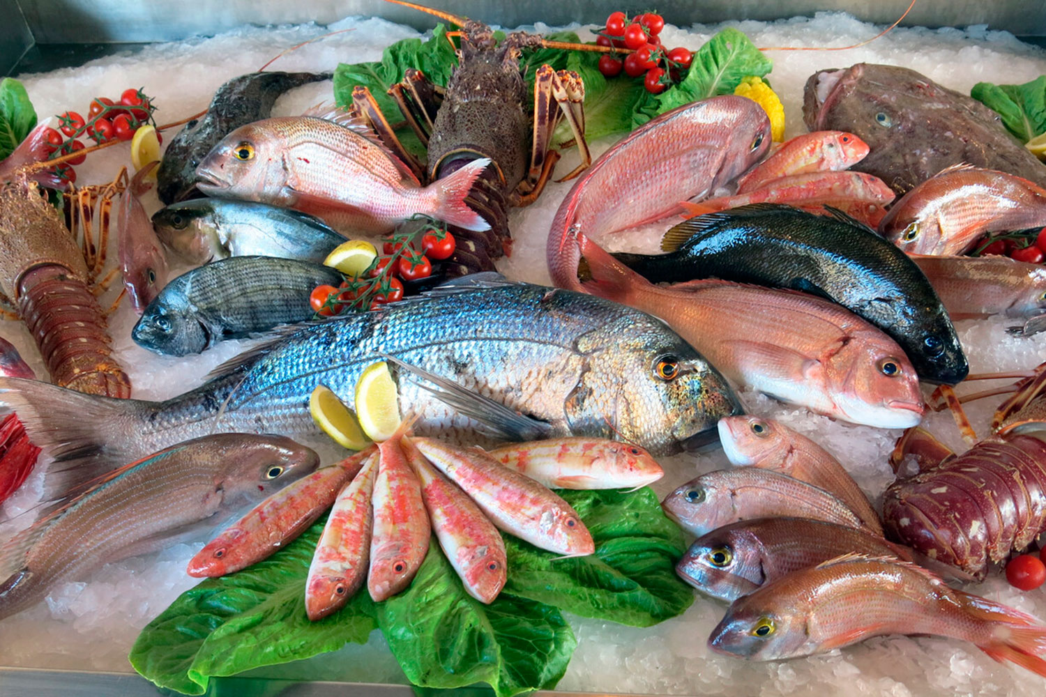 Estos son los pescados que no debes comprar: ningún médico los recomienda