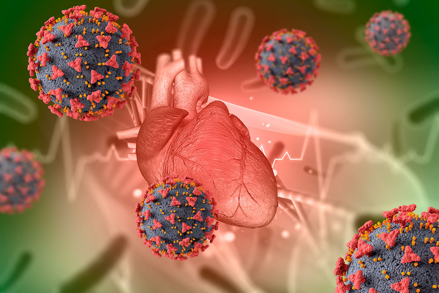 Así aumentan algunos virus el riesgo de muerte por enfermedad cardiovascular