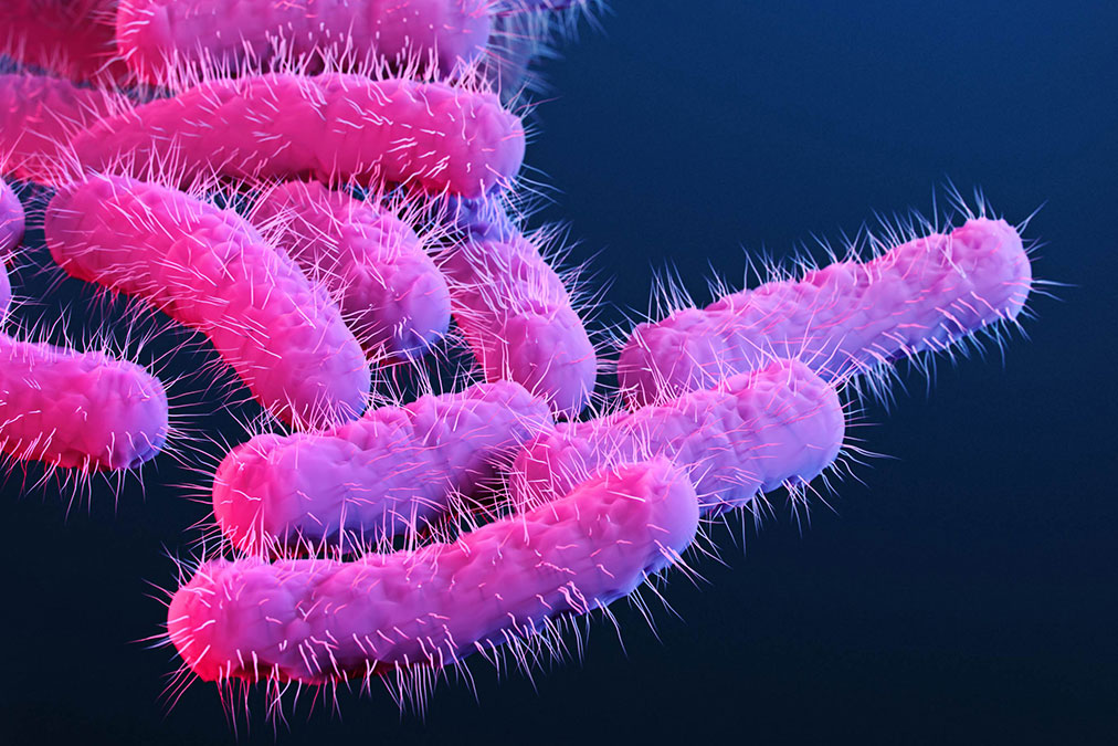 Un estudio de Cambridge señala que la diarrea de transmisión sexual se está extendiendo y cada vez resiste más antibióticos